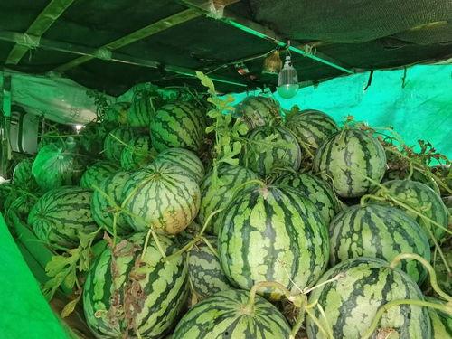 商场请你免费吃瓜,免费大餐来袭!商场请你共享夏日清凉瓜果盛宴 第3张 商场请你免费吃瓜,免费大餐来袭!商场请你共享夏日清凉瓜果盛宴 第3张