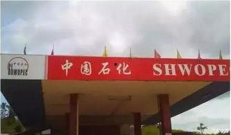 济宁加油站爆料视频曝光